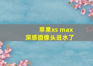 苹果xs max深感摄像头进水了